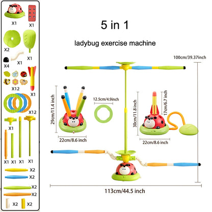 3 in 1 Ladybug Game