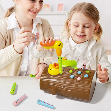 Toddler Woodpecker Catch Worm Toy