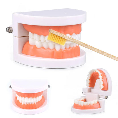 Montessori Tooth Brushing Teaching Set