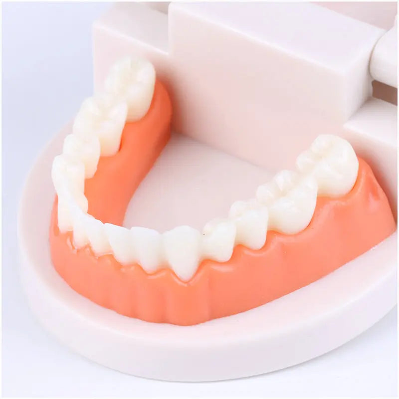 Montessori Tooth Brushing Teaching Set