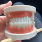 Montessori Tooth Brushing Teaching Set