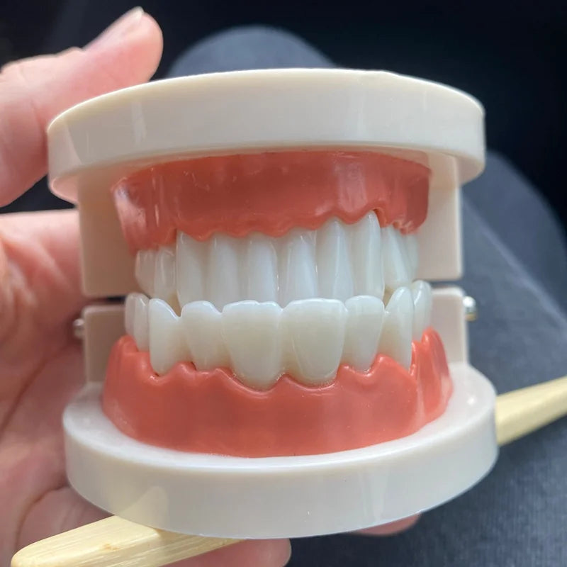Montessori Tooth Brushing Teaching Set
