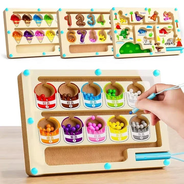 Montessori Magnetic Color Sorting Games