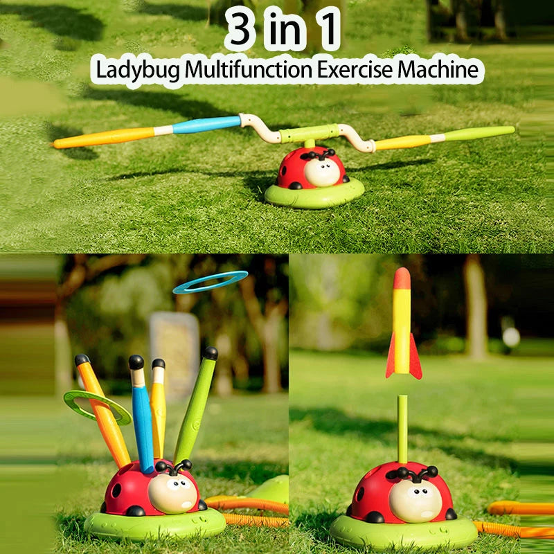 3 in 1 Ladybug Game