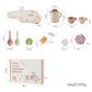 Wooden Children Montessori Toy Teapot Teacup
