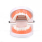 Montessori Tooth Brushing Teaching Set