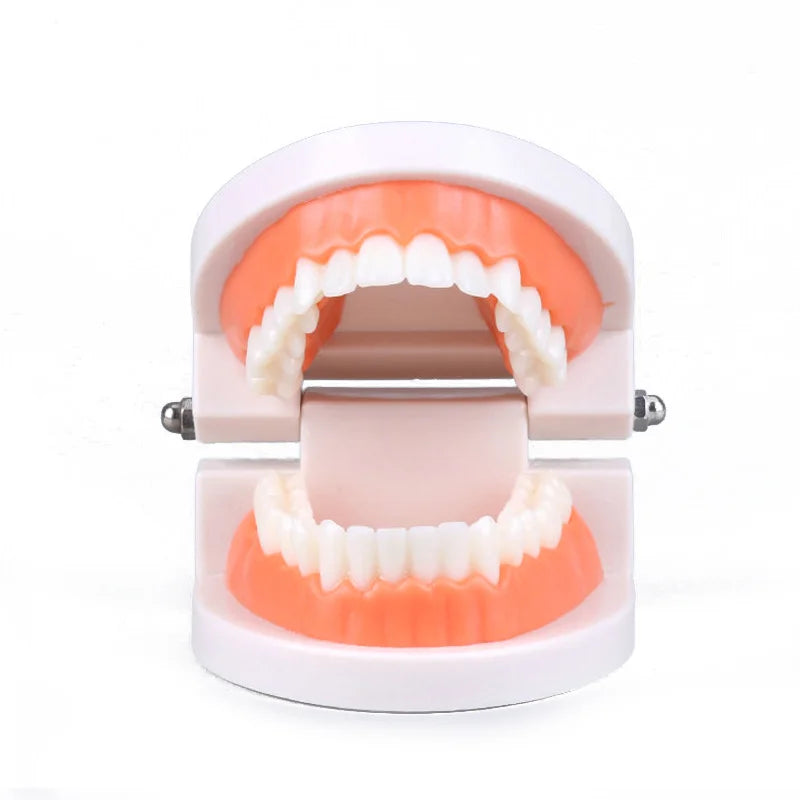 Montessori Tooth Brushing Teaching Set