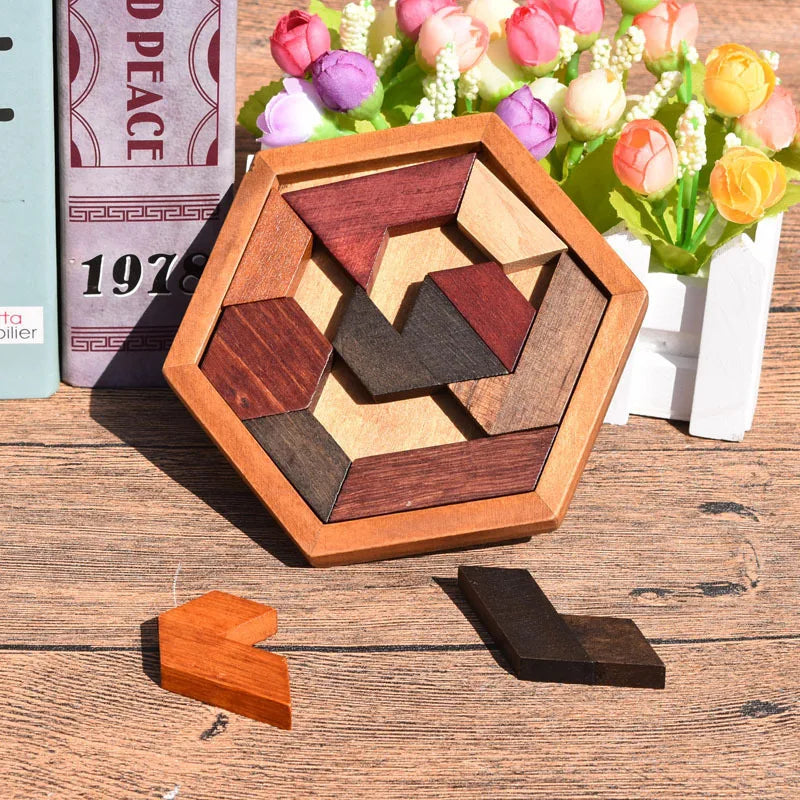 Hexagonal Wooden IQ Puzzle