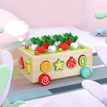 Magnetic Wooden Radish Fruit Cart Shape Matching Blocks