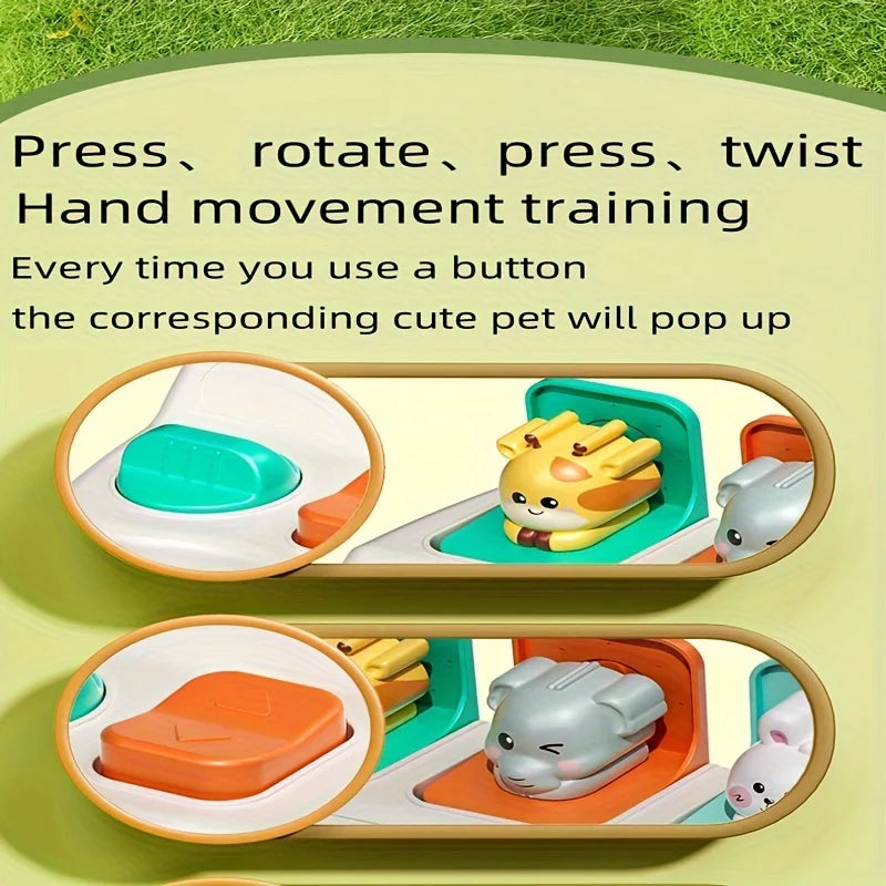 Montessori Pop-Up Animal Learning Boxes