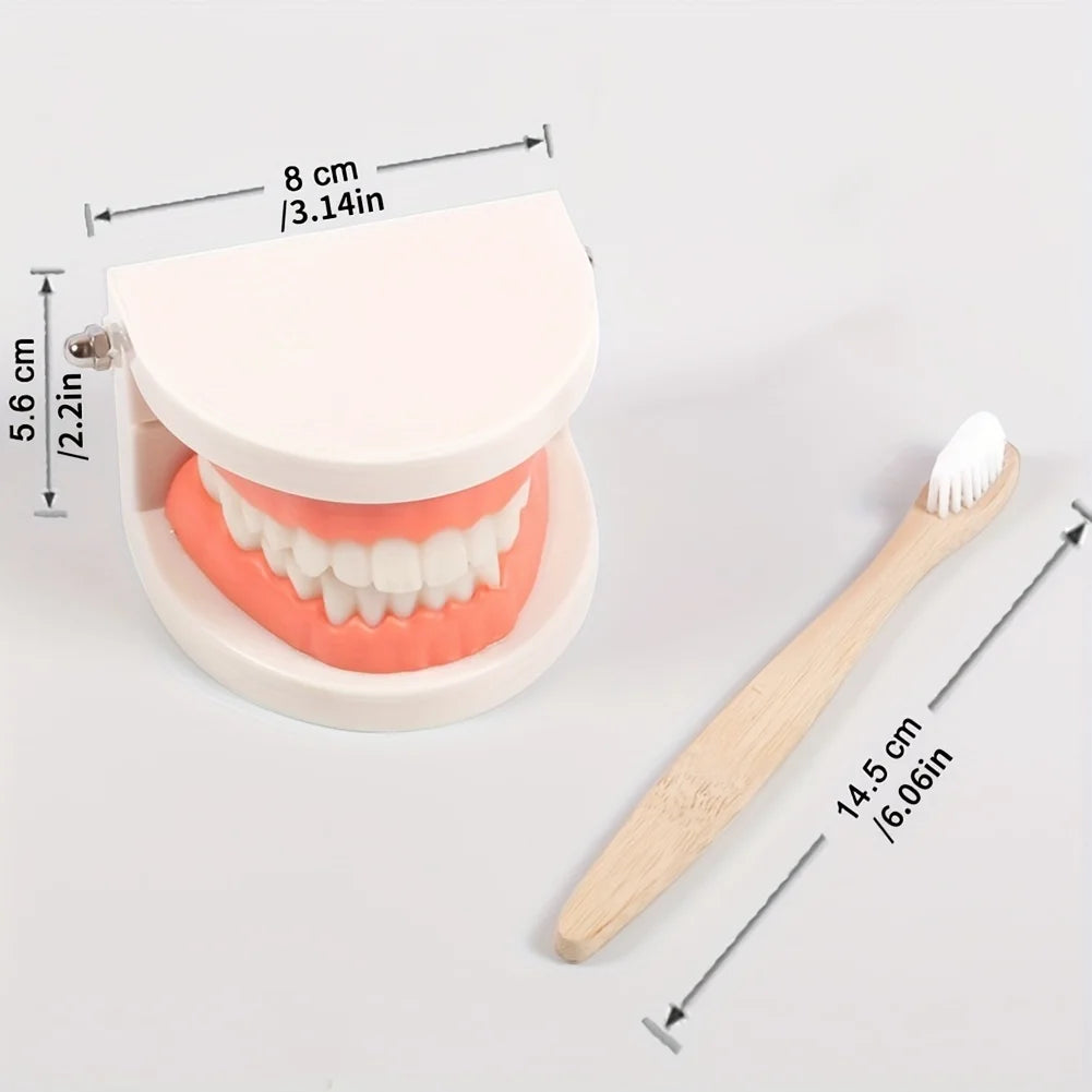 Montessori Tooth Brushing Teaching Set