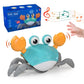 Electric Induction Crab Toy