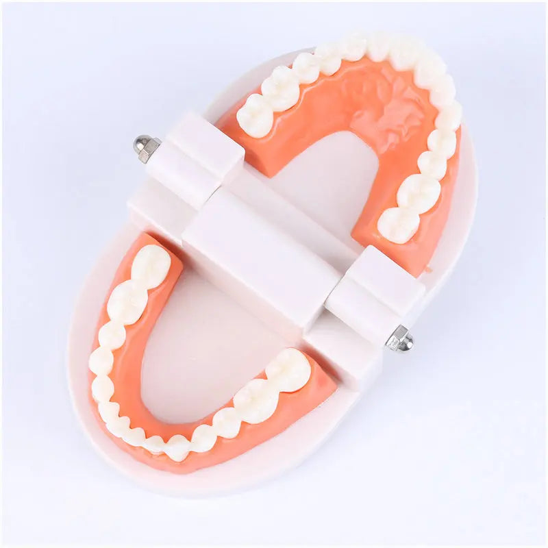 Montessori Tooth Brushing Teaching Set